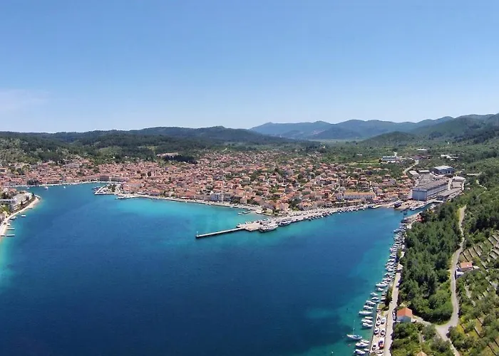 度假居 Seaside Family Friendly House With A Swimming Pool Vela Luka, Korcula - 12289 *